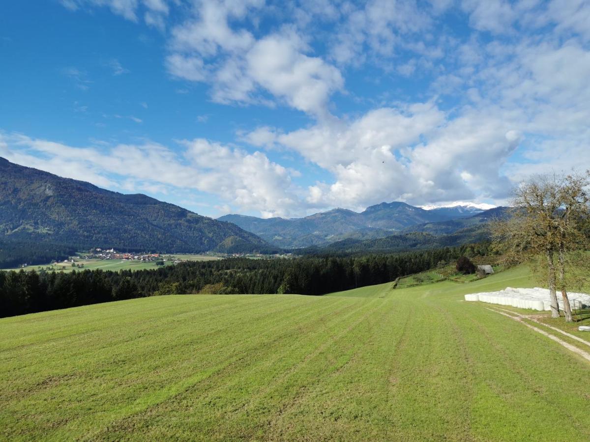 Apartment With Mountain View And Rivers Close By Smartno ob Dreti Exteriör bild