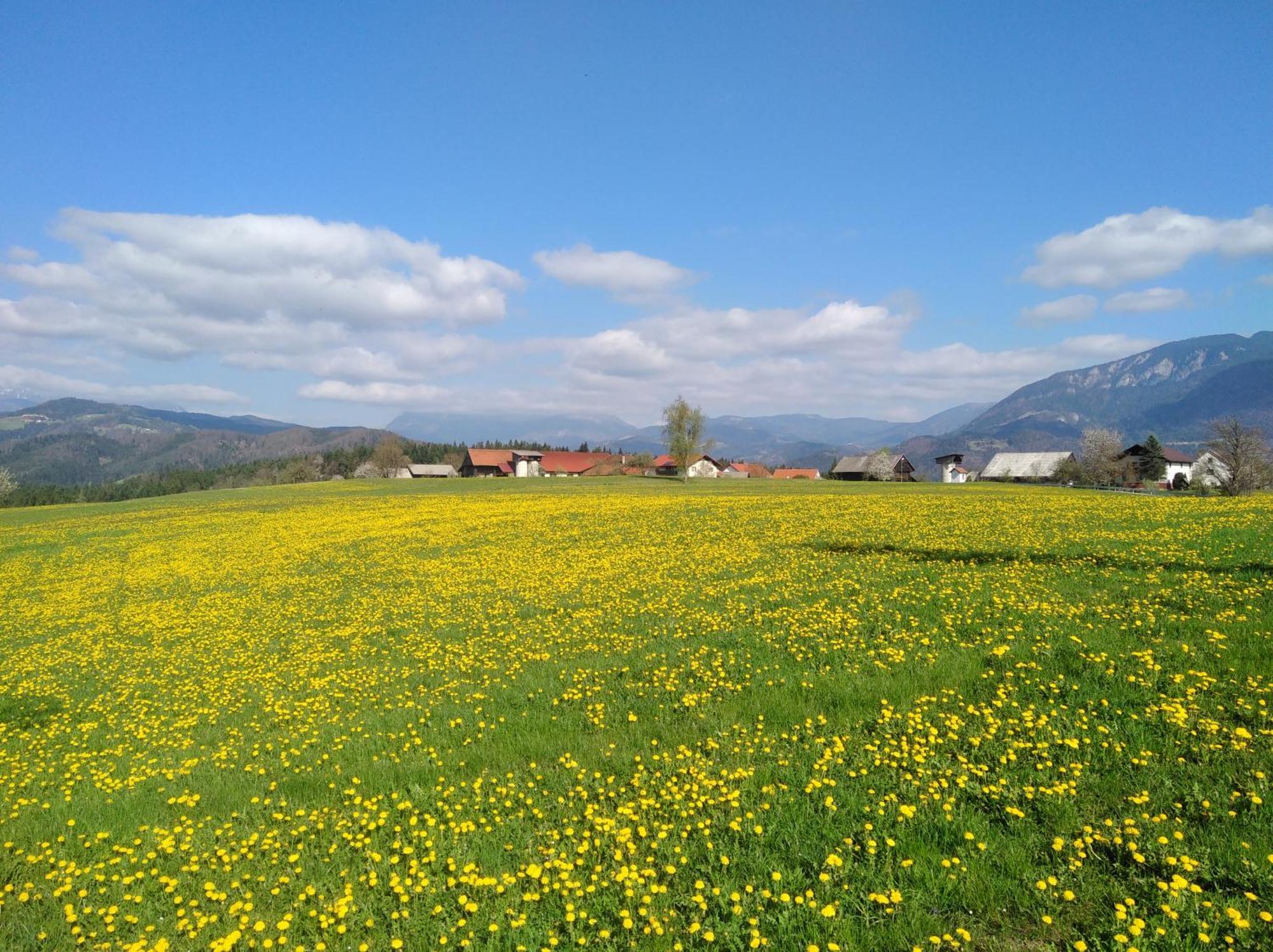 Apartment With Mountain View And Rivers Close By Smartno ob Dreti Exteriör bild